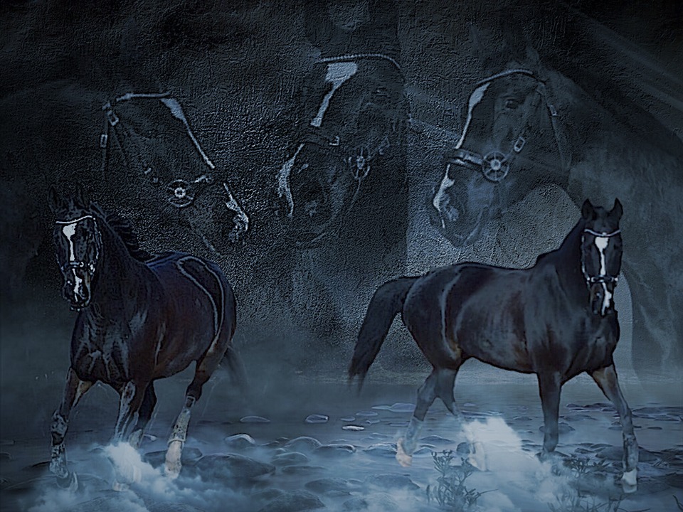 horses, collage, fog
