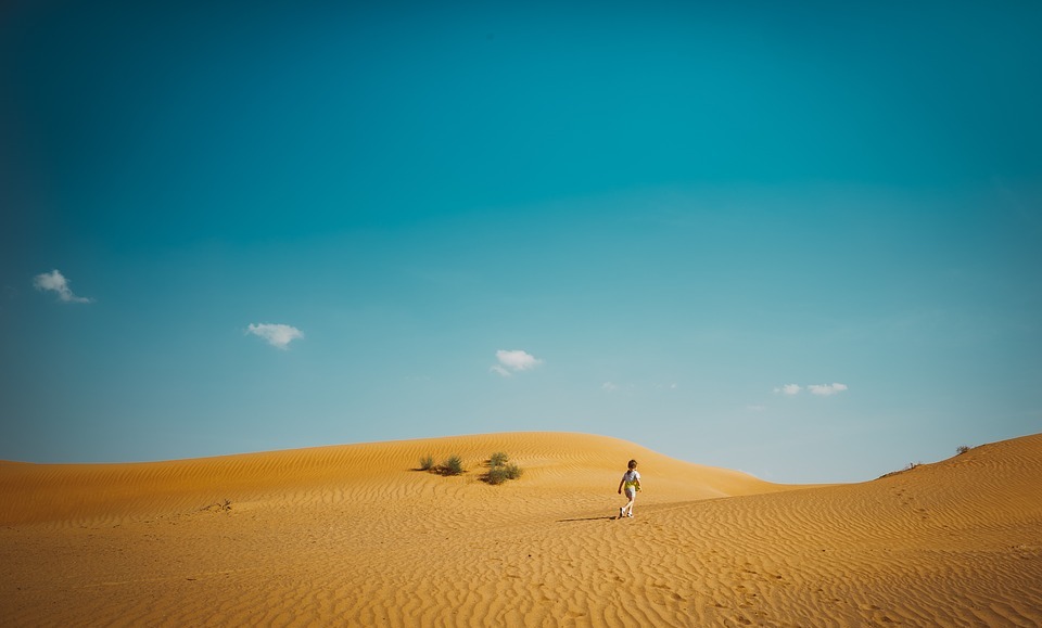 desert, landscape, sunny
