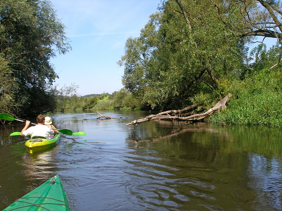 drwęca, river, kayaks