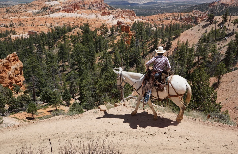 cowboy, horse, bryce canyon