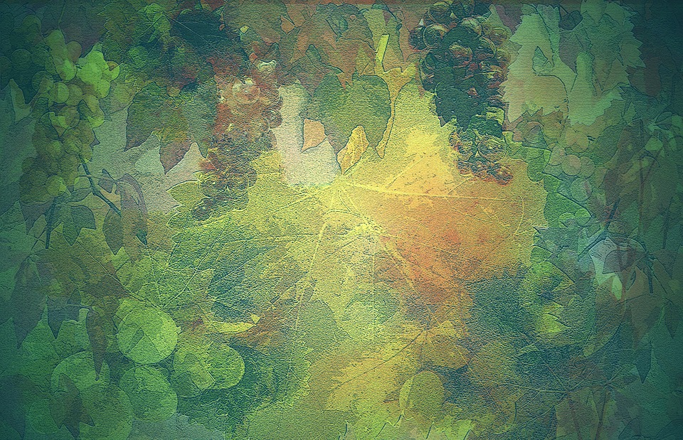 autumn, background, wine
