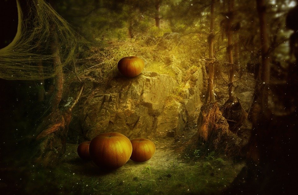 halloween, holiday, pumpkin
