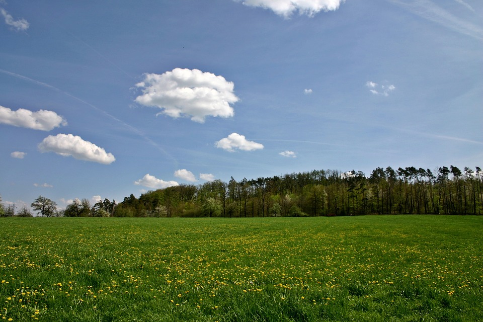 landscape, spring, hill