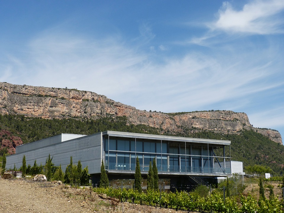 modern architecture, winery, wine production