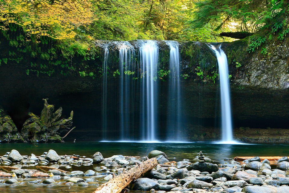 waterfall, rocks, trees