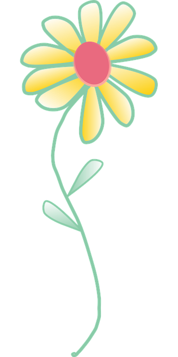 flower, yellow, vector