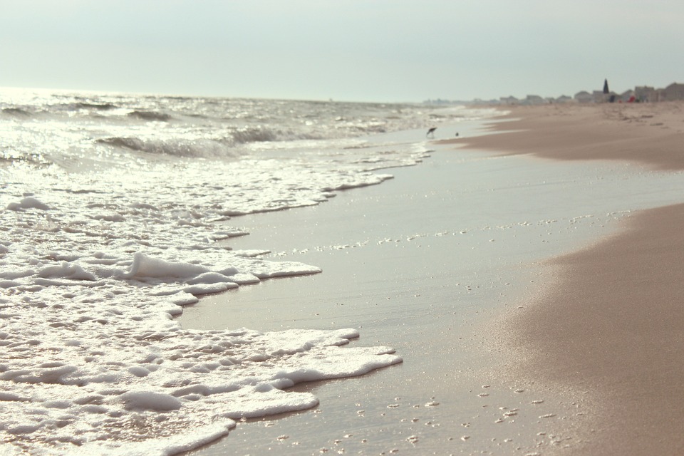 beach, sand, shore