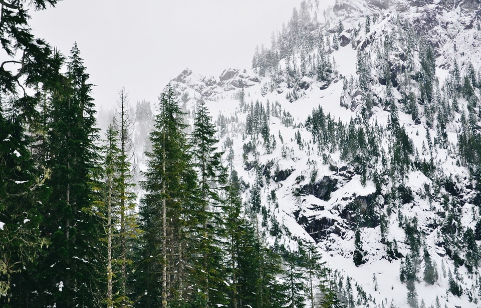 mountains, snowy, alaska