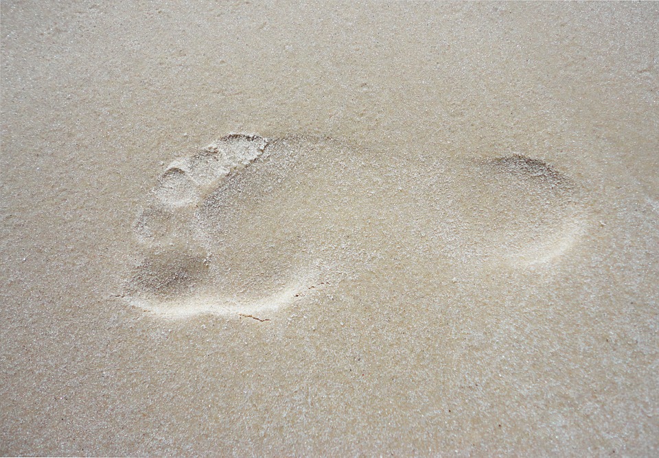 texture, sand, trail