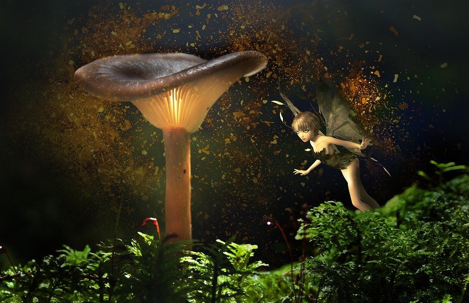 luminous mushroom, fee, fantasy
