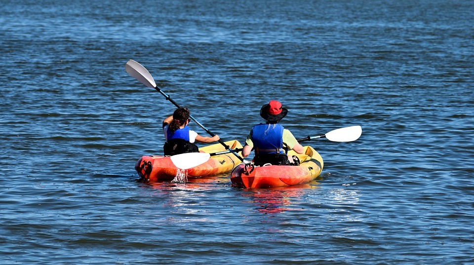 kayaks, people, recreation
