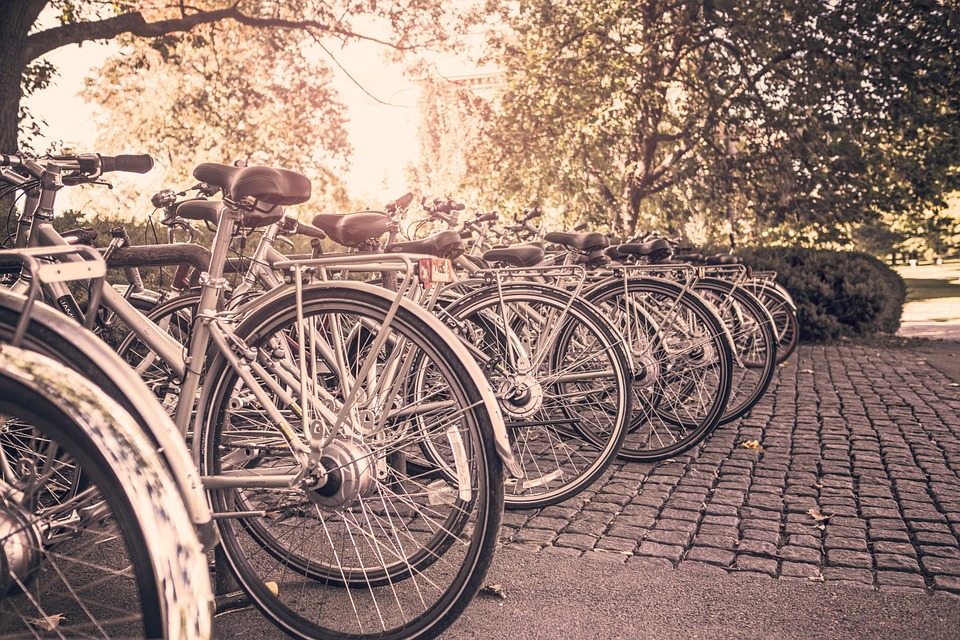 bicycles, bikes, outdoors