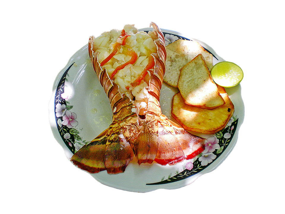lobster dish, food, seafood