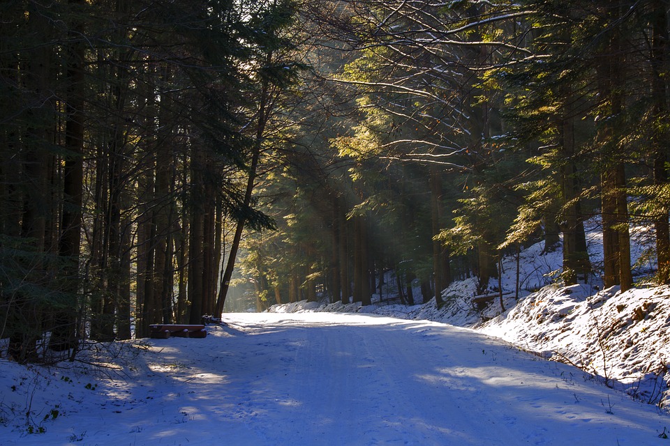 snowy road, the road to the light, peace of mind
