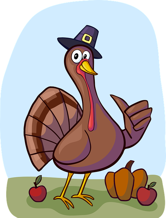 turkey, bird, thanksgiving