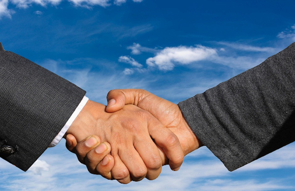 handshake, business, partner