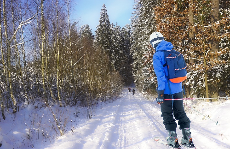 skiing, winter, forest