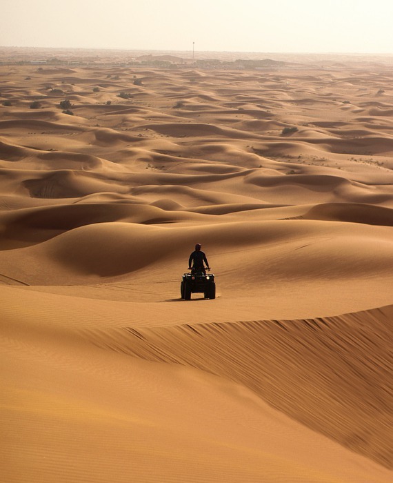 desert, sand, safari
