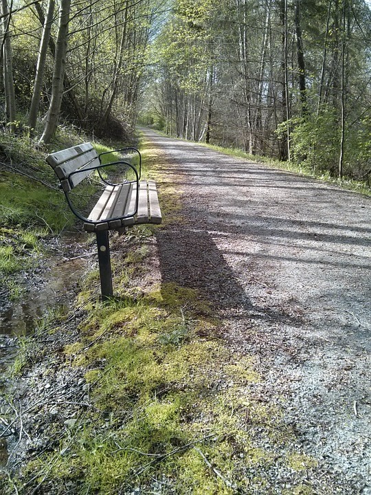 park bench, trail, spring