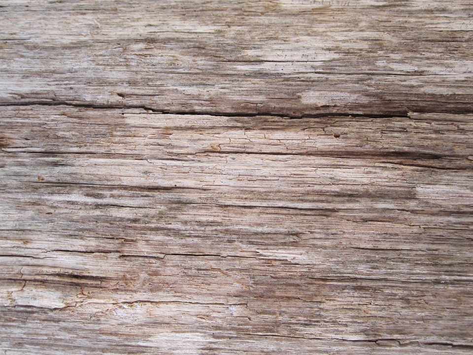 wooden, surface, texture