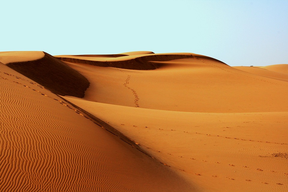 desert, africa, bedouin