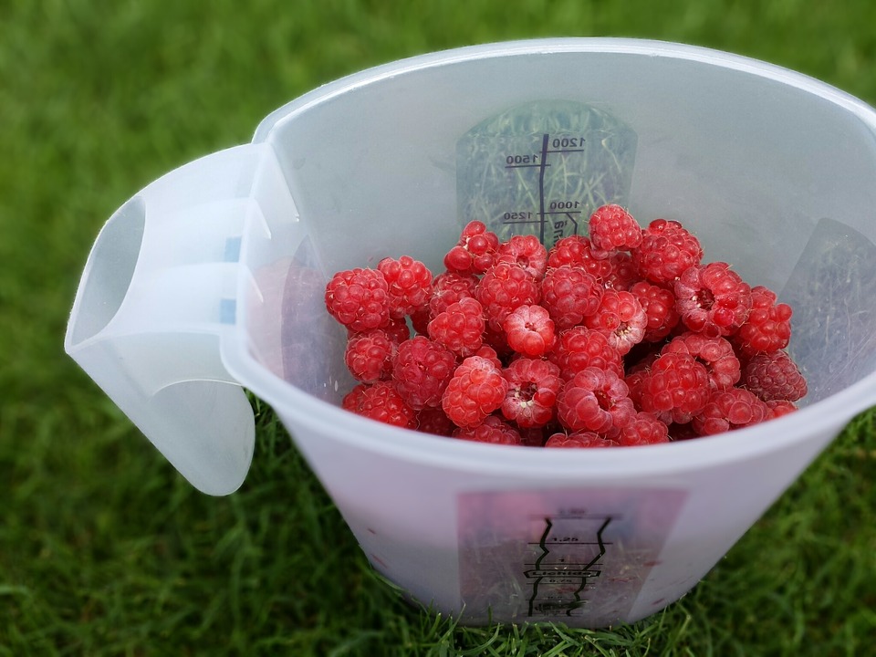 picnic, fruits, raspberries