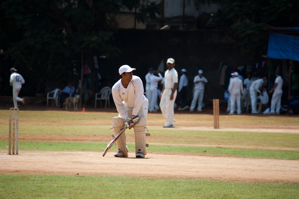 cricket, practice, batsman