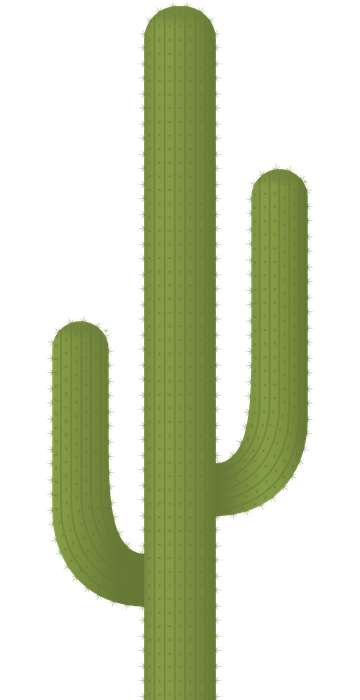 cactus, plants, desert