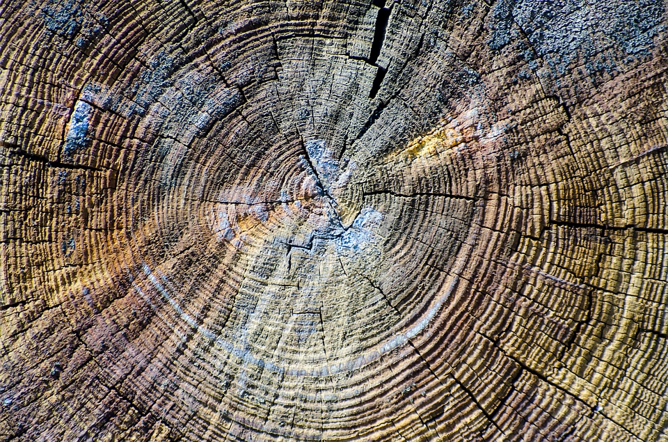 wood texture, wooden plank, cracks