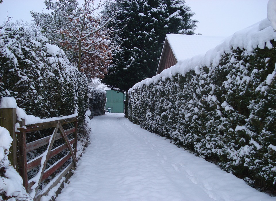 snowy, drive, gate