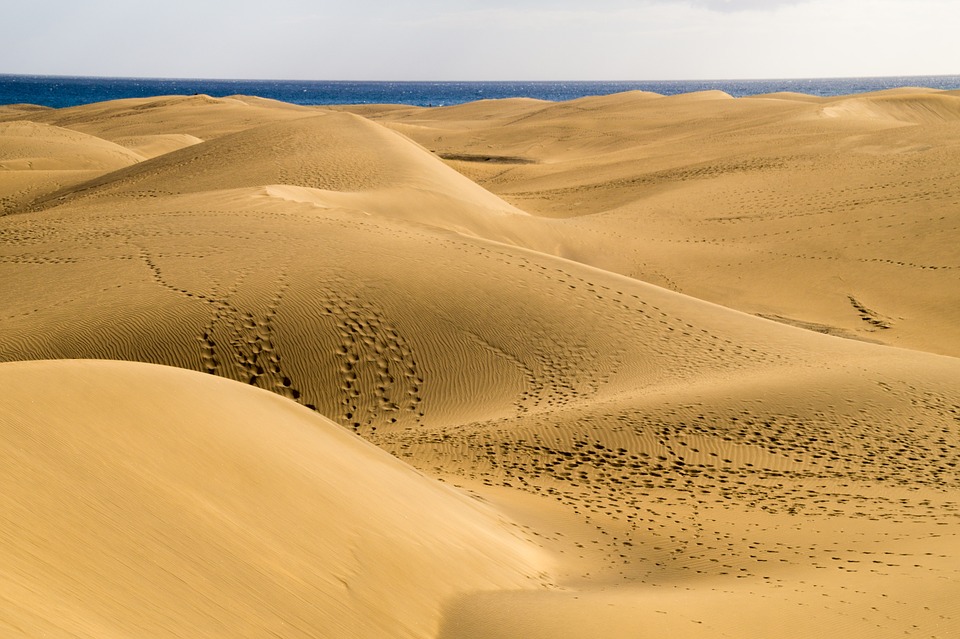desert, sand dunes, nature