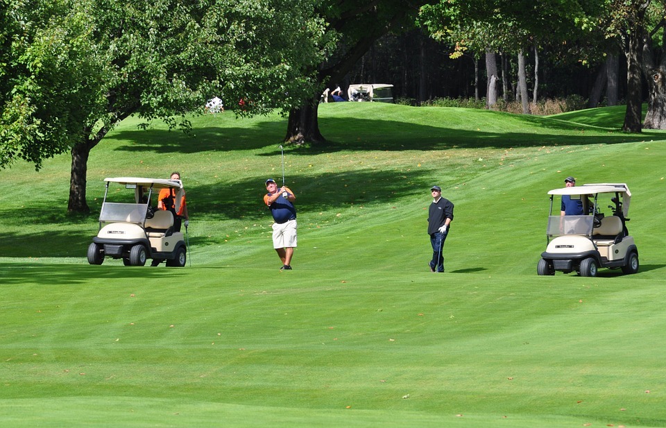 golf, golf carts, golfer