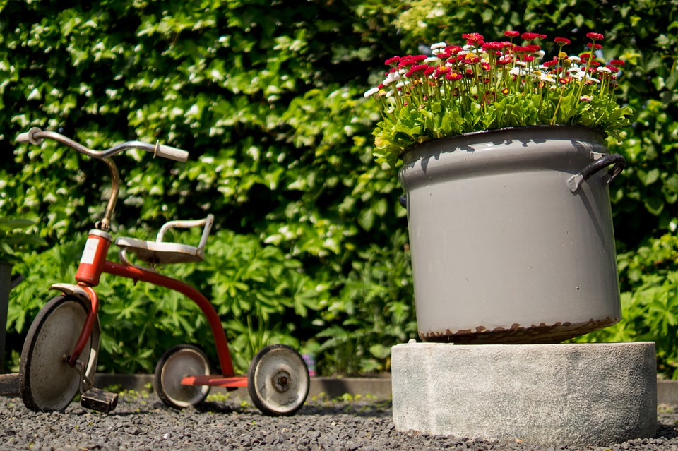 tricycle, pots, flowers
