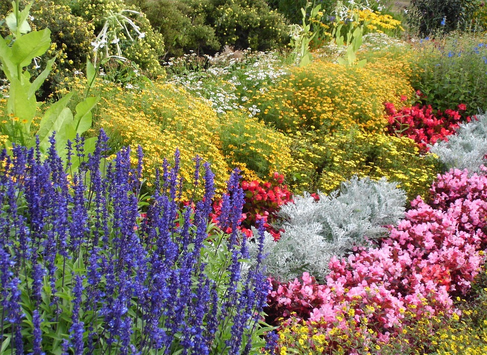 flower bed, garden, spa garden