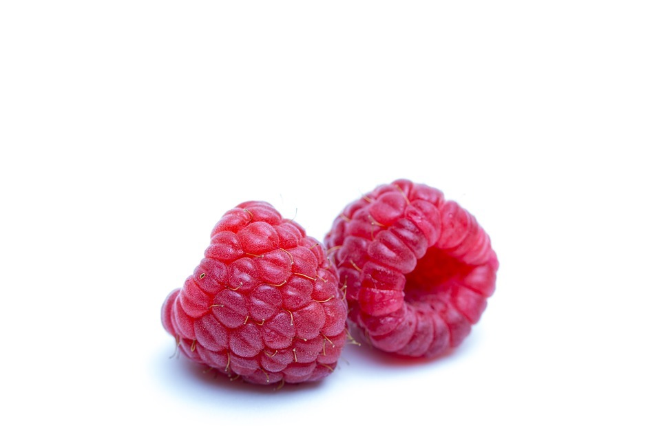 raspberries, red fruits, zarza