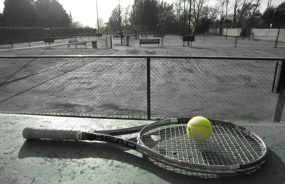 tennis, sport, tennis ball