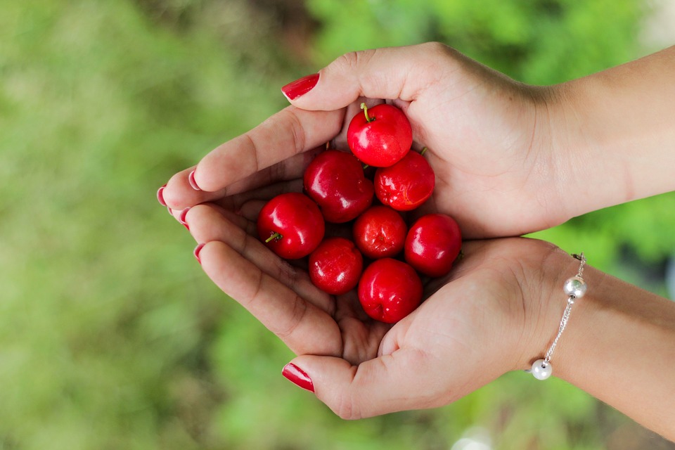 cherries, handful, red