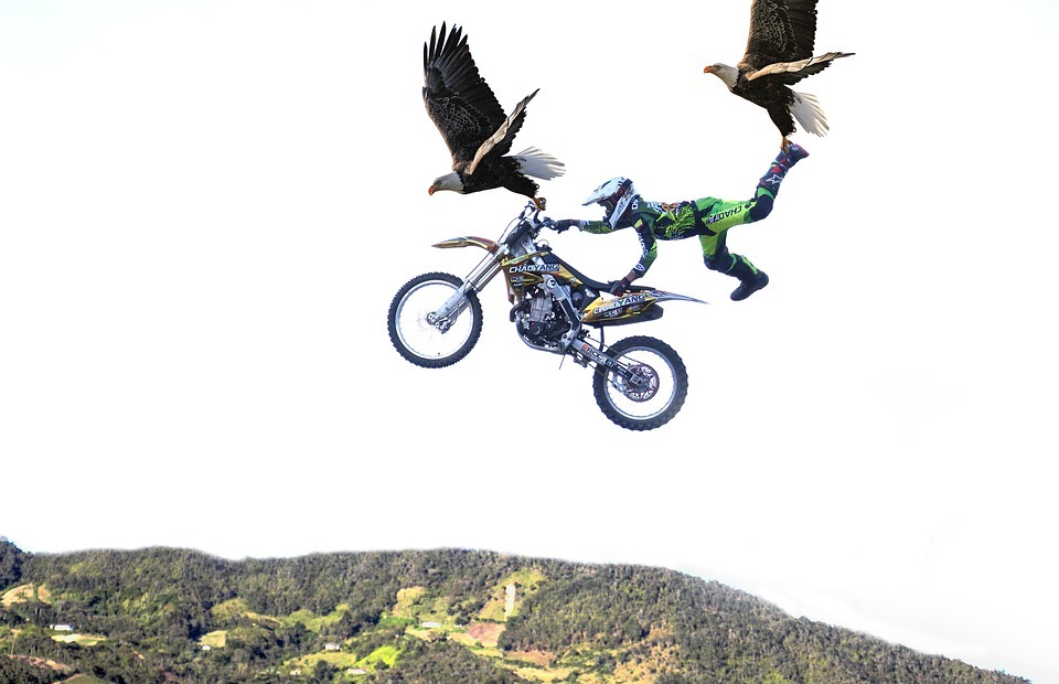 motorcycle, eagle, cross