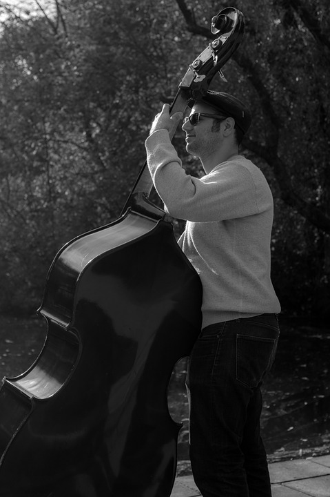 bass player, musical instrument, black and white
