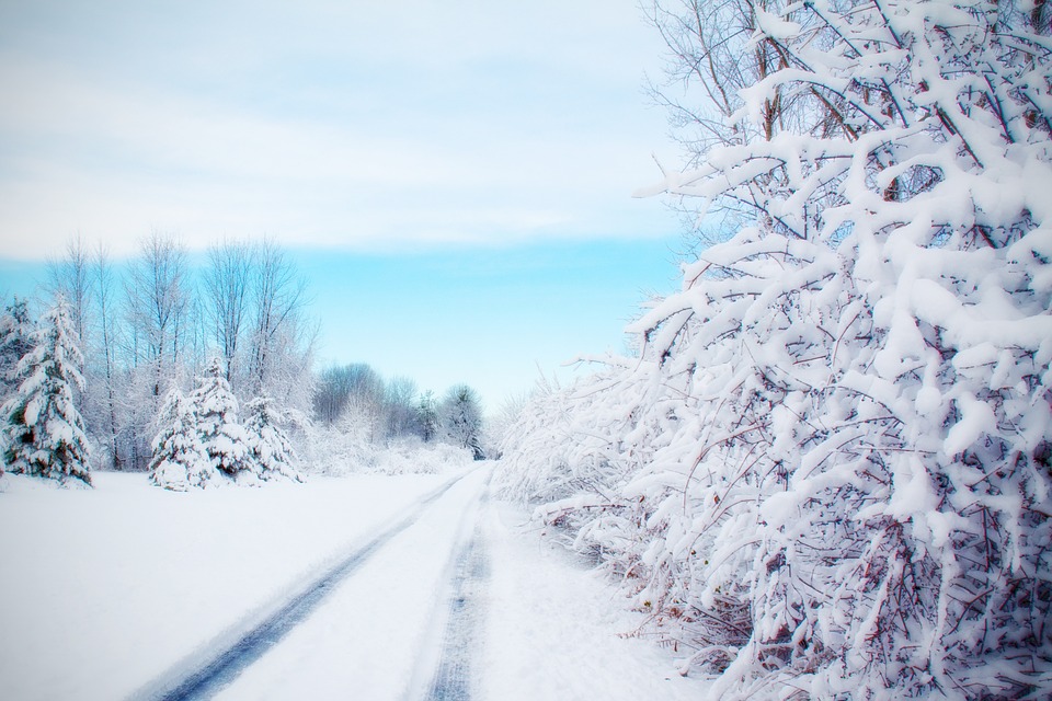 road, snowy road, winter