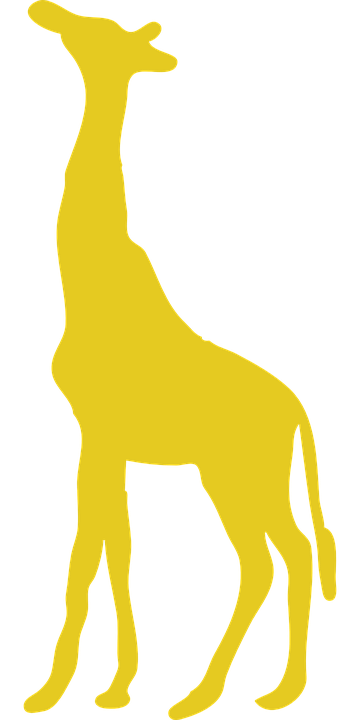 giraffe, yellow, safari