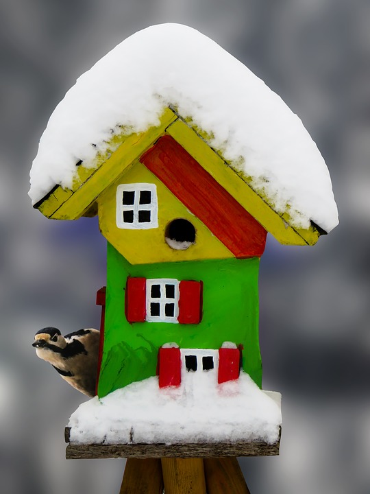 winter, aviary, snow