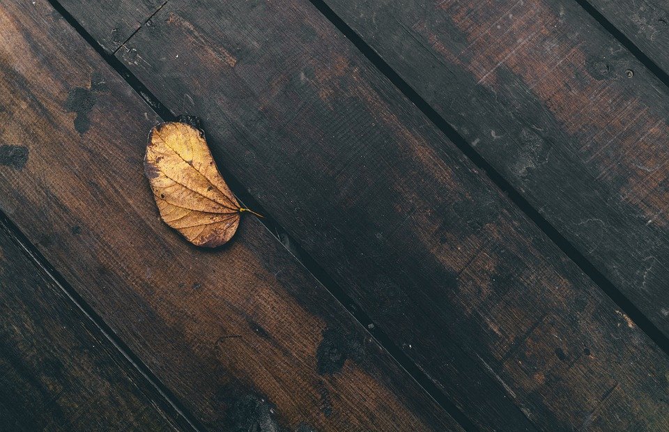 leaf, dried, wooden