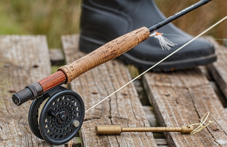 fishing rod, fly fishing, angling