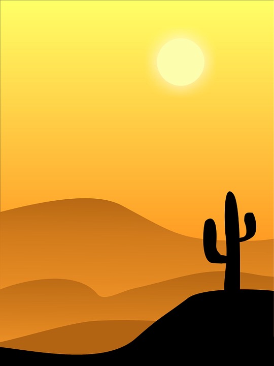 desert, cactus, vector