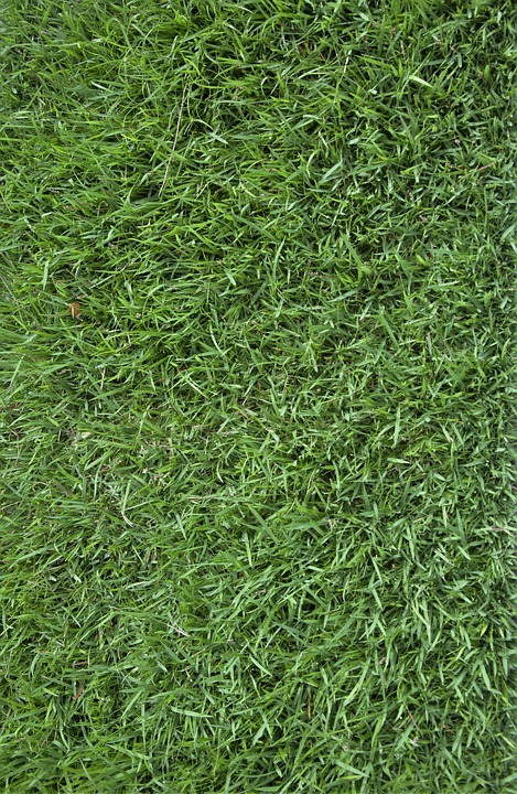 grass, texture, background