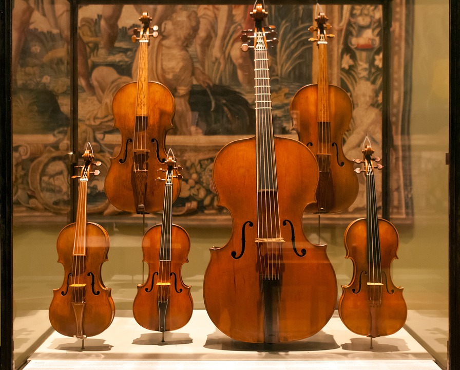 display case, violins, violas