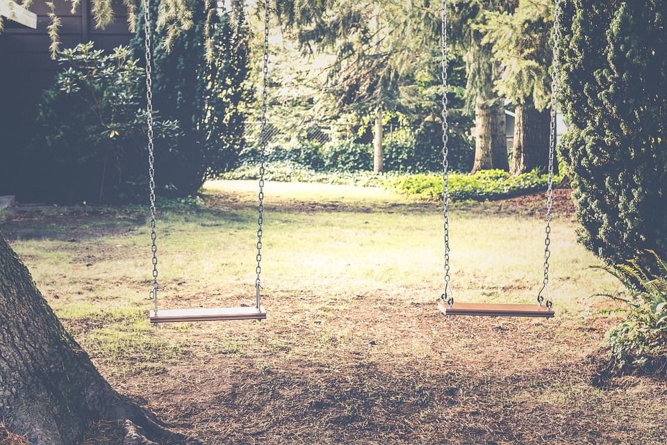 swings, backyard, trees