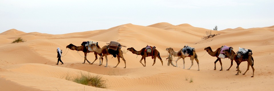 tunisia, desert, caravan