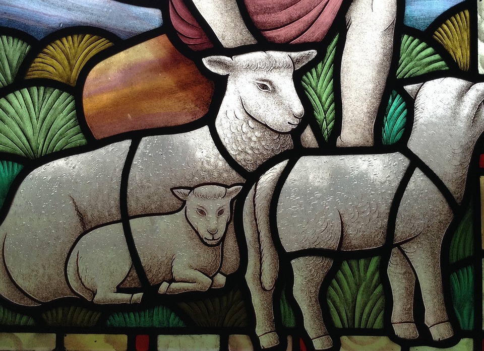 stained glass, lamb, christian
